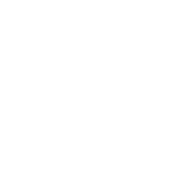 Medical Dataset Logo